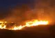 700 de hectare, mistuite de flăcări în Delta Dunării