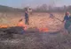 Sfaturile pompierilor bihoreni pentru prevenirea incendiilor de vegetație
