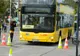 Cei mai buni șoferi de autobuz din Oradea au reprezentat România la Campionatul European din Germania