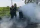 Șase operațiuni de stingere a incendiilor izbucnite pe raza a cinci localități și o misiune de salvare a unui animal