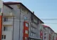 Arbori plantați pe calea Aradului