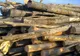 Depistat în timp ce transporta băut material lemnos fără documente legale