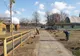Au fost plantați peste 2000 de pueți de către ADP Oradea