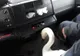 Pompierii Orădeni au salvat o lebădă dezorientată