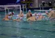Echipa de polo CSM Oradea se deplasează la Arad