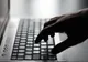 Prinși pentru fraude informatice efectuate în Germania