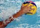 Cupa Federației Române de polo la copii (născuți 2006/07) are loc la Oradea, între 21-24 martie 2019