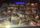 Aproape 18 kilograme de tutun, deținut ilegal, confiscat de polițiștii din Marghita de la un bihorean.