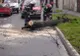 Recomandările pompierilor militari pentru evitarea situațiilor de urgență generate de vântul puternic!