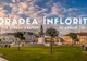 Tur Ghidat Gratuit: Oradea Înflorită