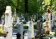 Peste 10.000 de locuri de veci expirate în Cimitirul Municipal Rulikowskic