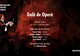 Gală de Operă la European Music Open