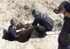 Muniție neexplodată asanată de pompierii militari în comuna Borșa