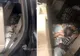 Minoră ascunsă de mamă între banchetele din spate ale unui autoturism, depistată în P.T.F Borș