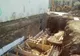 Au început lucrările de extindere a Grădiniței nr. 53 și a Creșei Albă ca Zăpada din cartierul Rogerius