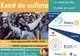 Seară de film: EXOD DE SUFLETE. Invitat: regizorul Orădean Csaba Bereczki