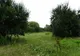 Un nou parc de cartier va fi amenajat în zona străzii Morii