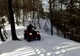 Doi tineri au aterizat cu ATV-ul în copac