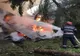 Două cabane distruse din cauza unui coș de fum, la Coada Lacului, comuna Curățele