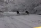 Misiuni de înlăturare a efectelor fenomenelor meteorologice periculoase