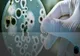 Secţia de pneumologie a Spitalului Orăşenesc Aleşd este închisă timp de două săptămâni