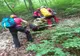 Un bătrân de 84 ani dat dispărut de familie a fost gărit într-o râpă abruptă