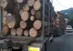 Circa 40 mc de lemn, transportat ilegal de un șofer din Maramureș, confiscați de polițiștii bihoreni! Firma amendată drastic
