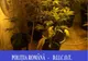 FOTO | Aproape 2 kilograme de cannabis confiscate de poliţiştii orădeni
