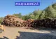 Aproape 350 de metri cubi de lemne de foc și cherestea de rășinoase, în valoare de 140.000 de lei, confiscați valoric de polițiștii bihoreni