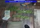 Tânăr reţinut pentru trafic de droguri! Au fost confiscate peste 500 de grame de cannabis