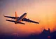 Zborurile aeriene operate de Ryanair din Oradea vor începe doar din luna februarie 2021