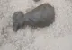 FOTO | Bombă de artilerie descoperită în Cimitirul Municipal „Rulikowski” Oradea