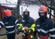 Pui de câine salvat dintr-o fântână adâncă de 12 metri