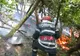 Trei incendii de vegetație, lichidate de pompierii bihoreni în ultimele 24 de ore