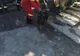 FOTO | Pompierii din Aleșd au salvat viața unui câine căzut într-o fântână