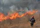 Incendii de vegetaţie în judeţul Bihor