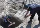 FOTO | Bombă de artilerie descoperită în Săldăbagiu de Munte
