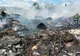 VIDEO: Incendiu la un depozit din municipiul Oradea! Au ars circa 30 de tone de deșeuri