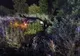 FOTO | Accident între Cluj și Oradea: 8 victime, dintre care 3 copii