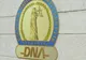 Om de afaceri din Oradea, trimis în judecată de DNA, pentru evaziune fiscală