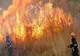 Oradea: Zeci de pompieri se luptă cu un incendiu de vegetaţie care se întinde pe o suprafaţă de 15 hectare