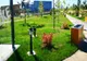 Un parc de peste 1,5 ha va fi amenajat în Cartierul Tineretului din Oradea