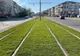 Se montează gazon pe noua linie de tramvai din Oradea (FOTO)