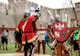 Oradea decide să nu găzduiască evenimentul BATTLE OF THE NATIONS 2022