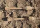 Două grenade din al Doilea Război Mondial, rămase neexplodate, descoperite pe un teren din Valea lui Mihai