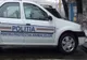 Doi tineri din Bihor, cu dosar penal, după ce au schingiuit prin înfometare 12 câini