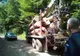 Amplă acţiune în Bihor privind furtul de lemne! Mai multe persoane au fost prinse şi amendate (FOTO)