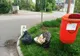 25 de persoane care au depozitat ilegal deșeuri pe domeniul public au fost identificate şi sancționate de Poliția Locală Oradea