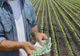 Peste 648 milioane euro autorizate la plata finală în cadrul Campaniei 2022 
