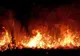 PESTE 400 DE ANGAJAȚI AI ROMSILVA, IMPLICAȚI ÎN ACȚIUNILE DE STINGERE A INCENDIILOR DE PĂDURE